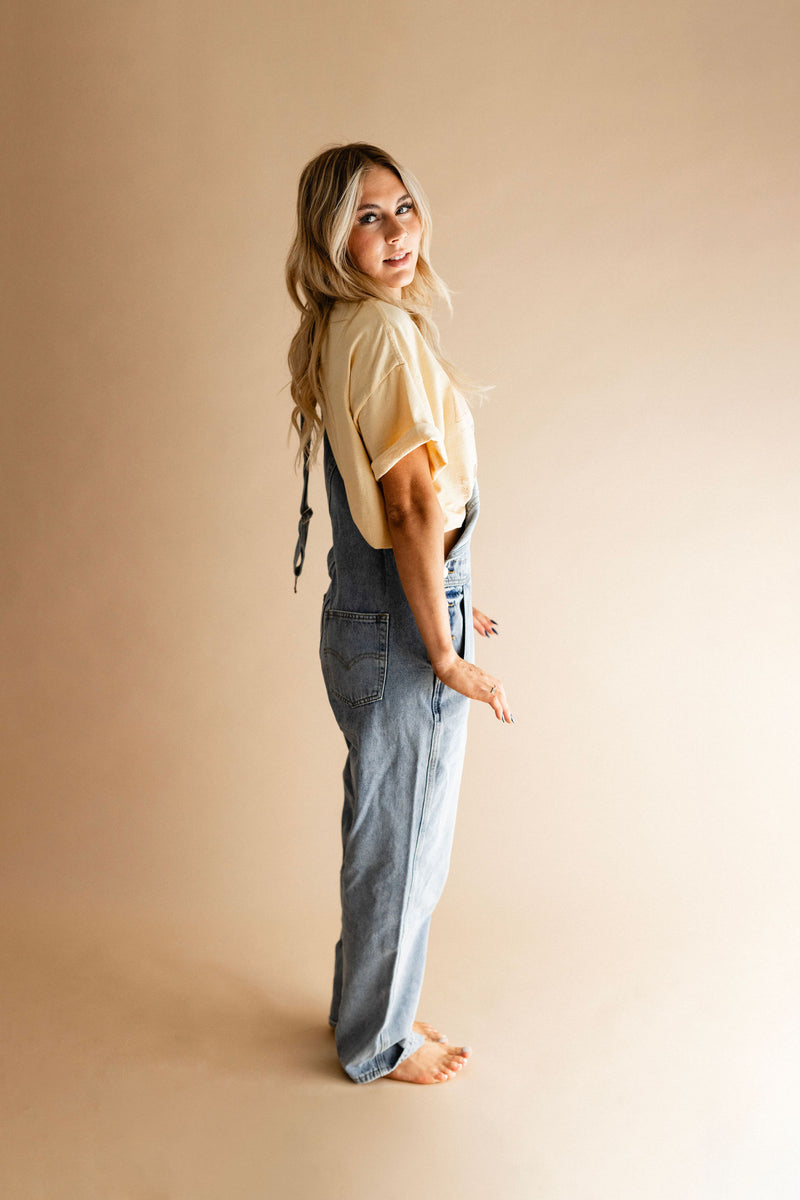 Light Wash Denim Overalls